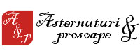 Asternuturi si prosoape